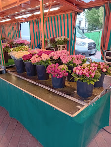 Blumenhandel Inge von Seelen