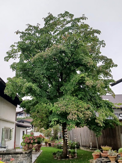 R&L Ihre Gärtner