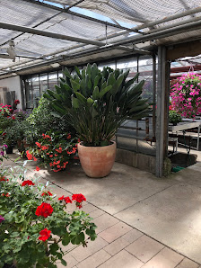 Gärtnerei Palme