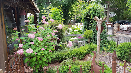 Blumen Goetz