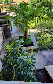 Gartenpflege Ernst
