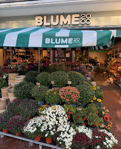 BLUME2000 Hamburg Tibarg