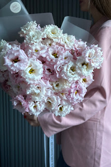 Daisy - Blumen mit Stil
