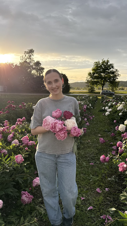 Blumen vom Feld