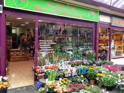 Celik Blumenparadies