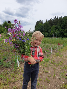 Gärtnerei Huese Schnittblumen