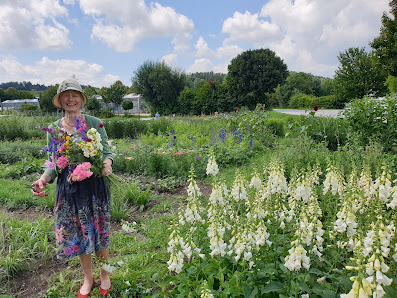 Gärtnerei Huese Schnittblumen