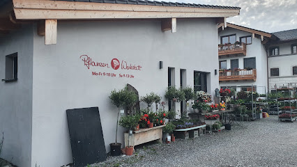 Pflanzen Werkstatt