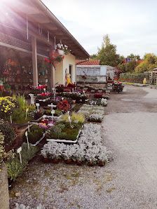 Blumen Renger