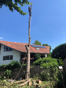 Bens Baumpflege - Fällungen, Heckenschnitt uvm.
