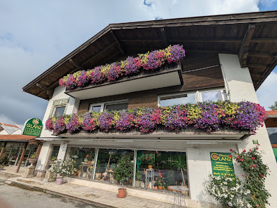 Blumen Glanz Unterwössen