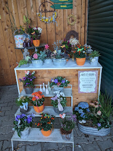 Blumen Glanz Unterwössen