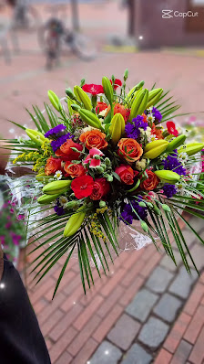 Blumen Tibarg 2018