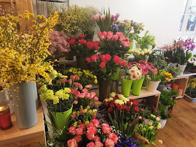Blumen & mehr