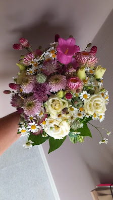 Blumen Wandelröschen