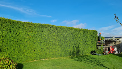 Louis Töpper Gartenpflege und Service