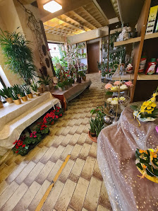 Blumen Bernd Gnann