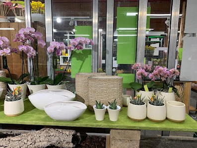 Blumen Böck