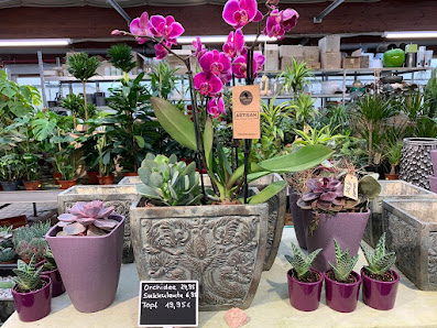 Blumen Böck