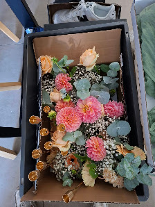 Die Blume