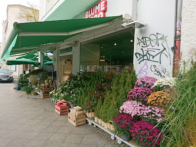 BLUME2000 Berlin Weißensee