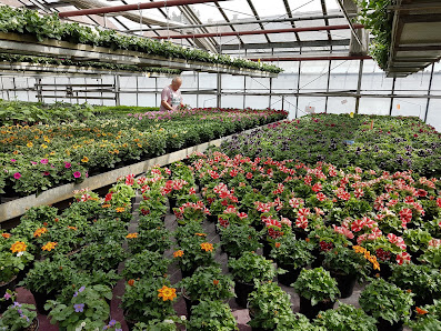 Blumenstadel Brigitte Miller