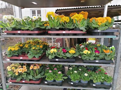 Geli's Blumenpavillon