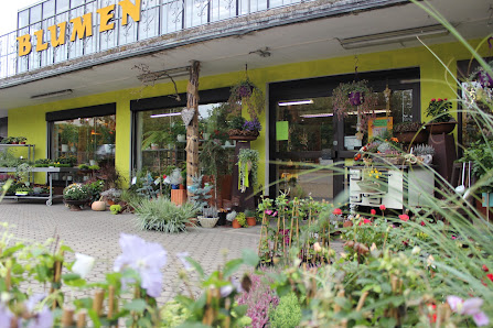 Blumen Fischer
