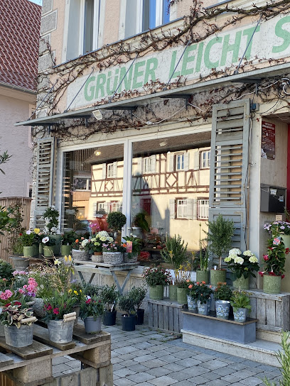 GRÜNER leicht SINN Inh. Peter Bauer