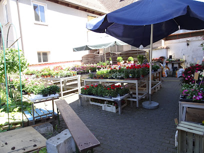 Blumen Jansen, Helen Riedl, Ellingen