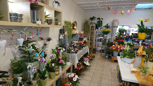 Blumenhaus Bock