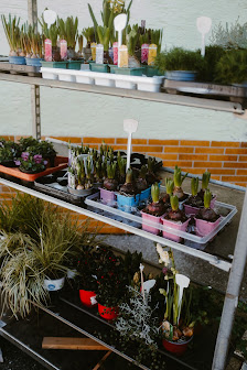 Eberspointer Blumenwelt