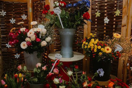 Eberspointer Blumenwelt
