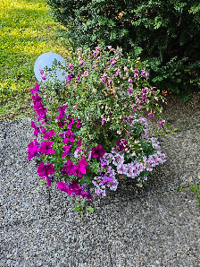 Becker Garten und Forst