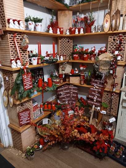Ninas Mauerblümchen