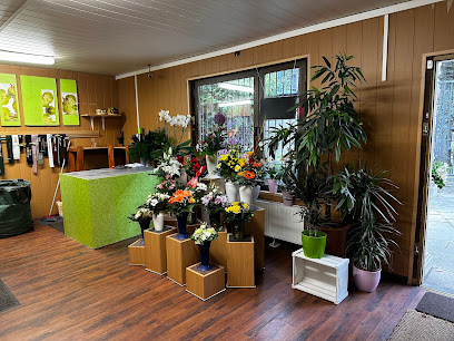 Blumen&Pflanzen am Auferstehungsfriedhof