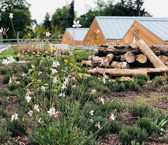 HEIDEL Garten- und Landschaftsbau
