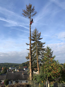 Garten- und Landschaftsbau Graser