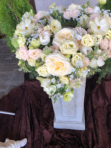 Blumenhaus & Gärtnerei Schäflein