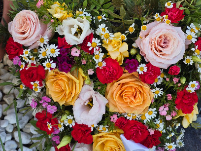 Nicoles Blumenhäusel