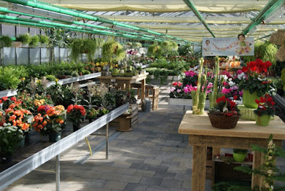 Blumen-Benkert