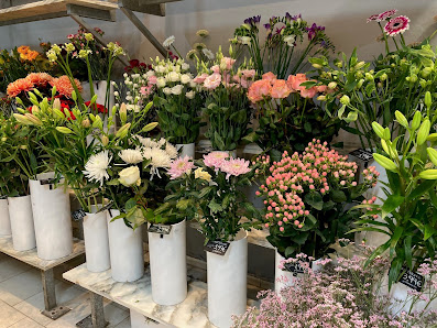 Blumen Edelweiß Gerolzhofen