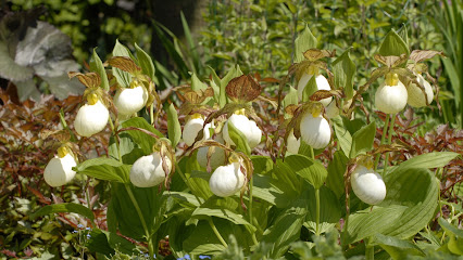 Gartenwerkstatt Schreiner, Inhaberin Sabine Schreiner