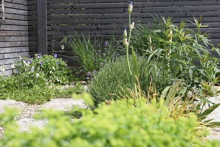 Garten Friedel