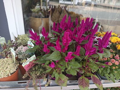 Blumenecke Hirschaid