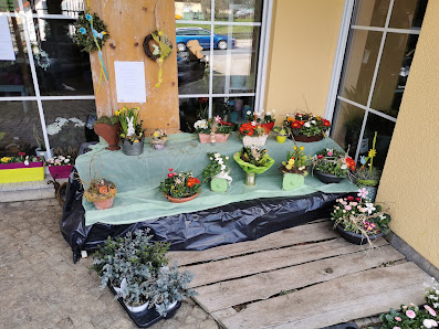 Blumen Götz