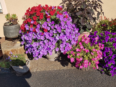 Gartenbau Ziegler