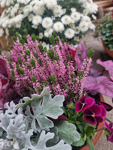 Gartenbau Ziegler