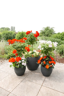 Gartenbau Ziegler