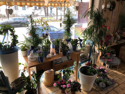 Blumen Weiß